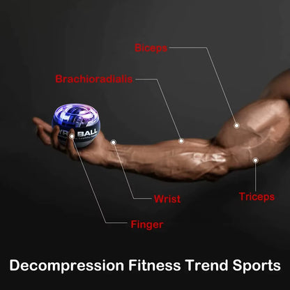 Self-Starting Gyro Ball Gyroscopic Power Wrist Ball Forearm Exerciser Arm Hand Muscle Force Trainer Gyroball Home Gym